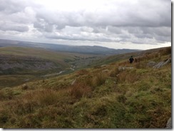 Breacon Beacons 030 (500x375)