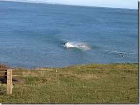 Gower Peninsula - Caswell Bay to Mumbles 020 (1000x750)