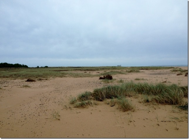 2014-10-16 Ile d'Oleron (2) (640x470)