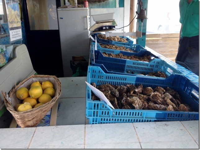 2014-10-16 Ile d'Oleron (7) (640x480)