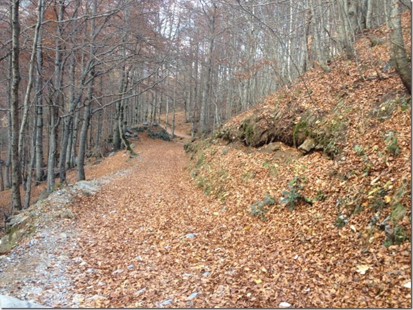 2014-10-28 Ordesa and Posets (29) (640x480)