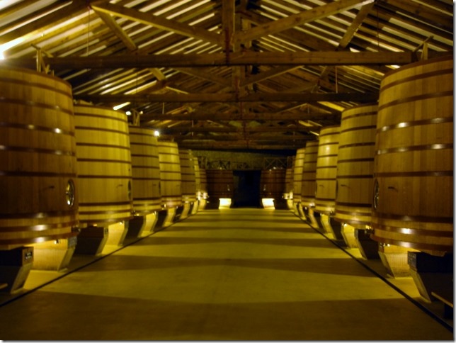 2014-11-11 Bodega CVNE - Haro and Bodega Tobelos - Brinas (4) (640x480)