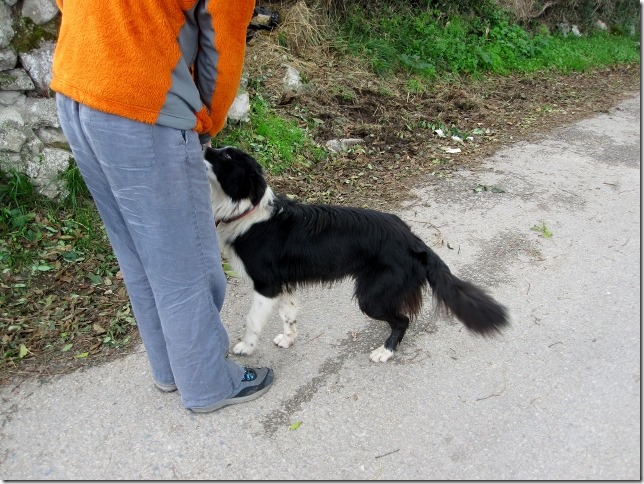 2014-11-17 Bufones de Priar and to Covadonga (1) (640x480)