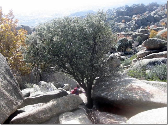 2014-11-25 La Pedriza circuit–a trek to remember (16) (640x476)