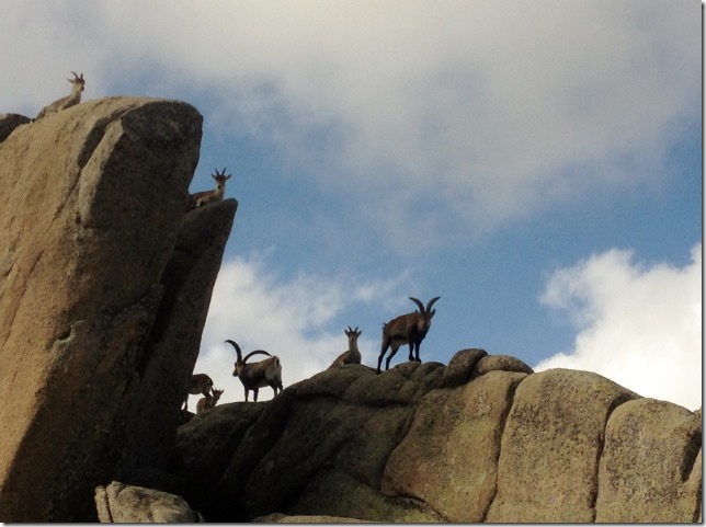 2014-11-25 La Pedriza circuit–a trek to remember (25) (640x477)