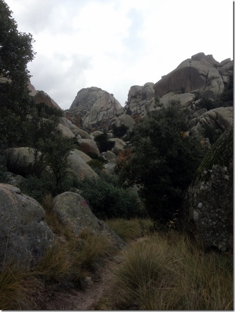 2014-11-25 La Pedriza circuit–a trek to remember (39) (480x640)