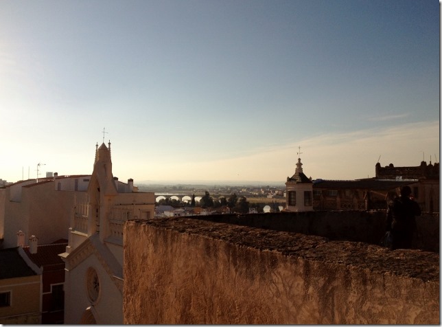 150113 Spain-Badajoz (1) (640x472)