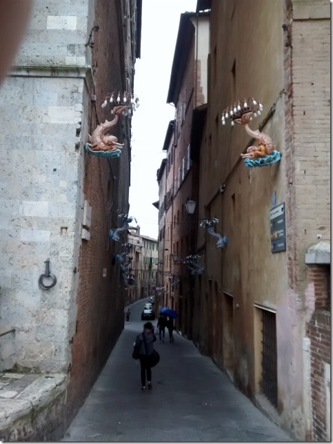 150315 Italy- Siena (30) (479x640)