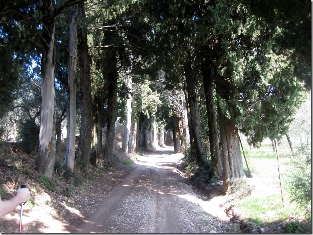 150318 Italy- Subasio (1) (640x480)