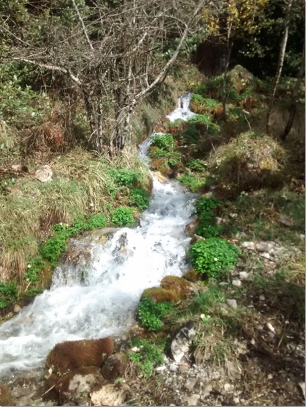 150405 Italy- Monte Pollino (10) (480x640)