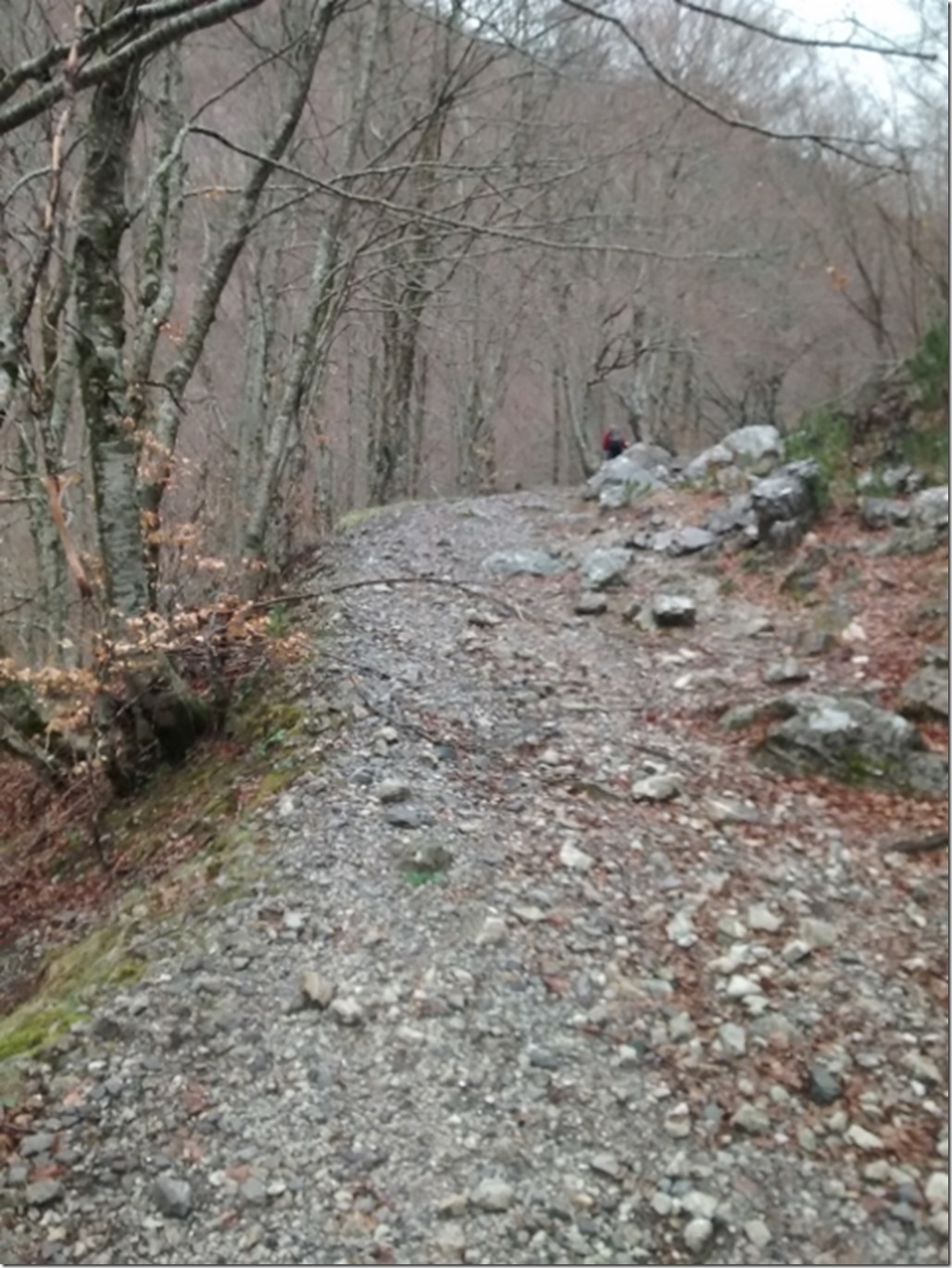 150405 Italy- Monte Pollino (16) (480x640)